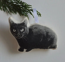 Load image into Gallery viewer, Animal Ornaments