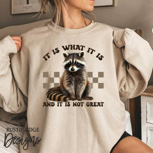 It Is What It Is And It Is Not Great