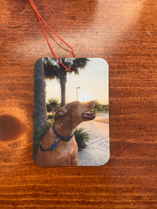 Customizable Picture Car Air Freshener