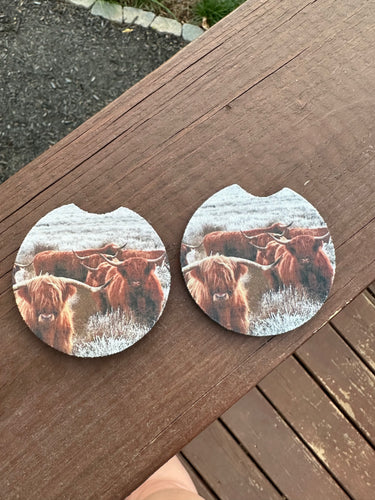 Highland Cattle Car Coaster